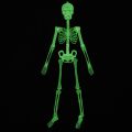 HA Halloween Decoration Halloween Props Luminous Fluorescent Skeleton. 