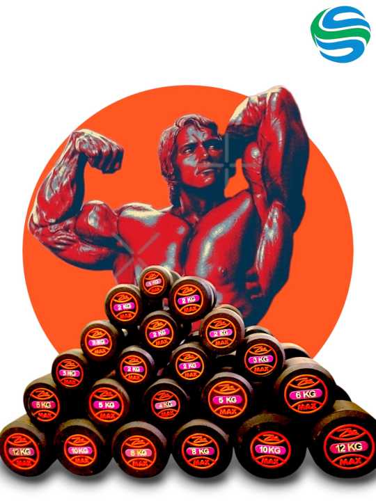 Rubber%20Dumbbells%20in%20Solid%20Rubber%20and%20Solid%20Steel%20Rod%20(%20Single%20Piece%20%20)%20-%20Image%203