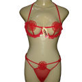 2 Pc Lingerie Set - Bridal Lingerie Set For Girls Women With Push-Up Rings - Seductive And Fashionable. 