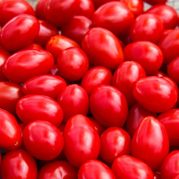 Qty%2040+%20Tomato%20Seeds%204%20Varieties%20Vegetable%20Kitchen%20Gardening%20-%20Image%207