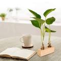 【BestGO】MAREING Transparent Wooden Stand Glass Vase Tabletop Plants Gifts Flower Decoration Hydroponic Plant Test Tube Vase Home Garden Decoration Plant Vases Flower Pot. 