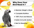 Boltz Parrot Food 1Kg for Big Parrot,African Grey Parrot,Sun Conure,Macaw,Lovebird and Alexander - All Life Stages Mix Seeds,1 Kg pack. 