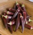 Red okra seeds (lady finger) vegetable seeds-RARE VARIETY- BY HK DEALER. 