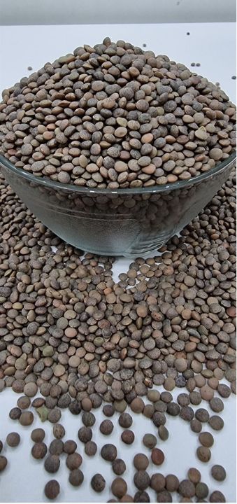 "Premium Whole Masar Brown Lentils – Nutritious and Versatile" | DESI MASAR SABAT | KALY MASAR | WHOLE MASAR | BROWN LENTIL | NON GMO | EXPORT QUALITY | 100% PURE  & CLEAN 500GM