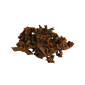 Star Anise | Badian | Badiyan Phool | Badiya | Badyan Flower | Badyaan Khatai 25 Grams | Premium Quality Oregano Foods Whole Spice for Cooking, Tea Baking  Aromatic Seasoning. 
