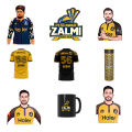 25pcs PSL CRICKET sticker pack for cricket psl pakistani sports event tournament babar azam asif ali harris rovman powell. 