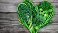 Hybrid F1 Broccoli Seeds - Home Kitchen Gardening Vegetable Seeds. 