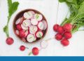 80+ Round Red Radish (Laal Moli) Vegetable seed for kitchen gardening. 