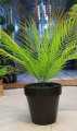 Artificial Plants for Home Decor Indoor, Faux Plants, 12 leaves Plants for Living Room Decor 1.8 ft Height. 