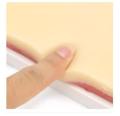 Silicone Suture Pad for Suturing Practice Training Skin Model for Lab Scientific Supplies Science Education. 