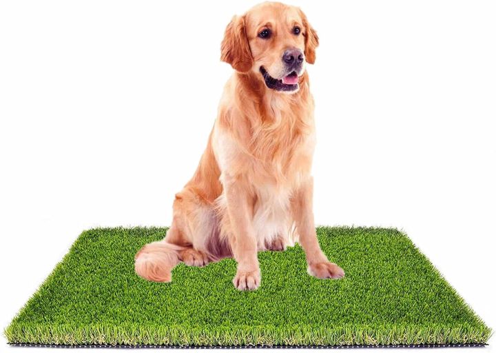 Artificial%20Grass%20Carpet%20Real%20Feel%20American%20Grass%20-20Mm-%20Premium%20Quality%20Artificial%20Grass%20Bath%20Mat%20/%20Door%20Mat%20/%20Kitchen%20Mat-%20Artificial%20Rug%20-%20Image%207