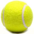2PCS Heavy Tennis Ball Cricket Ball 72MM. 