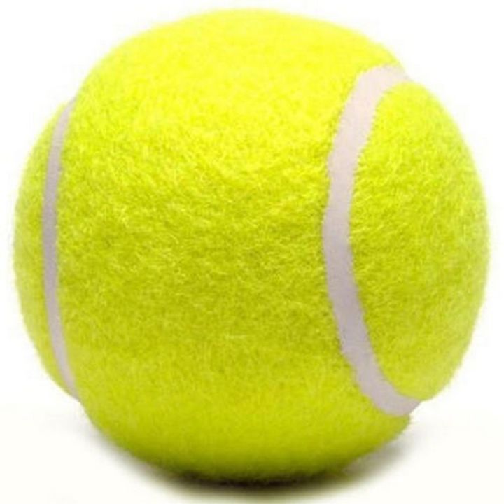 2PCS Heavy Tennis Ball Cricket Ball 72MM