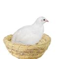 Rutin chicken nest chicken grass nest net red mini cottage fence platform breeding box special full set of landscaping supplies package. 