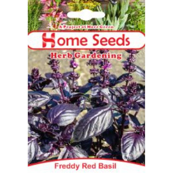 Seeds- Freddy Red Basil