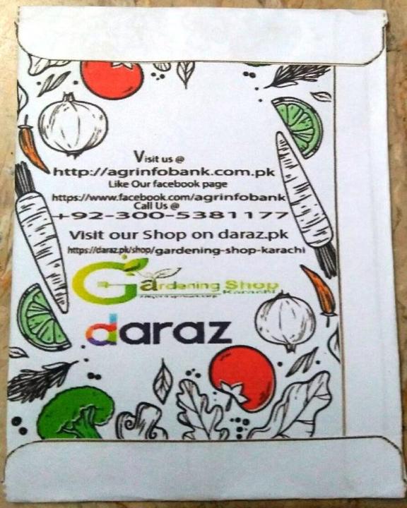 Winter%20flower%20Salvia%20Farinacea%20-%20Image%204