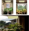 Led Grow Light 100W UPDAYDAY Full Spectrum Plant Light Lamps Bulbs for Indoor Plants in Garden,Flowers,Fruits,Vegetables,Greenhouse. 