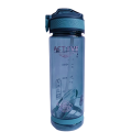 Water Bottle For School 800 ML. 
