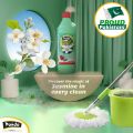 Panda Perfumed Phenyle 500 ML Jasmine Disinfectant Floor Cleaner Phenyl Cleaning with 99.9% Germ kill | Jasmine Fragrance Phenyl Liquid Surface Cleaner for Hospitals, Homes, Offices & Commercial Use Removes Dirt, Stains & Germs. 