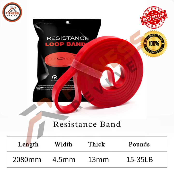 Heavy Duty Natural Latex Pull Up Resistance Band – Anti-Snap Loop ...