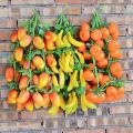 1 Bunch Artificial Fruits Vegetables Small Foam Fruit New Year Family and Kitchen Wedding Decoration  Simulated Fruits New. 