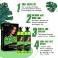 Lichen Hair Color Gel Natural Black (Argan Oil) 500ML* 2 - 1000ML. 