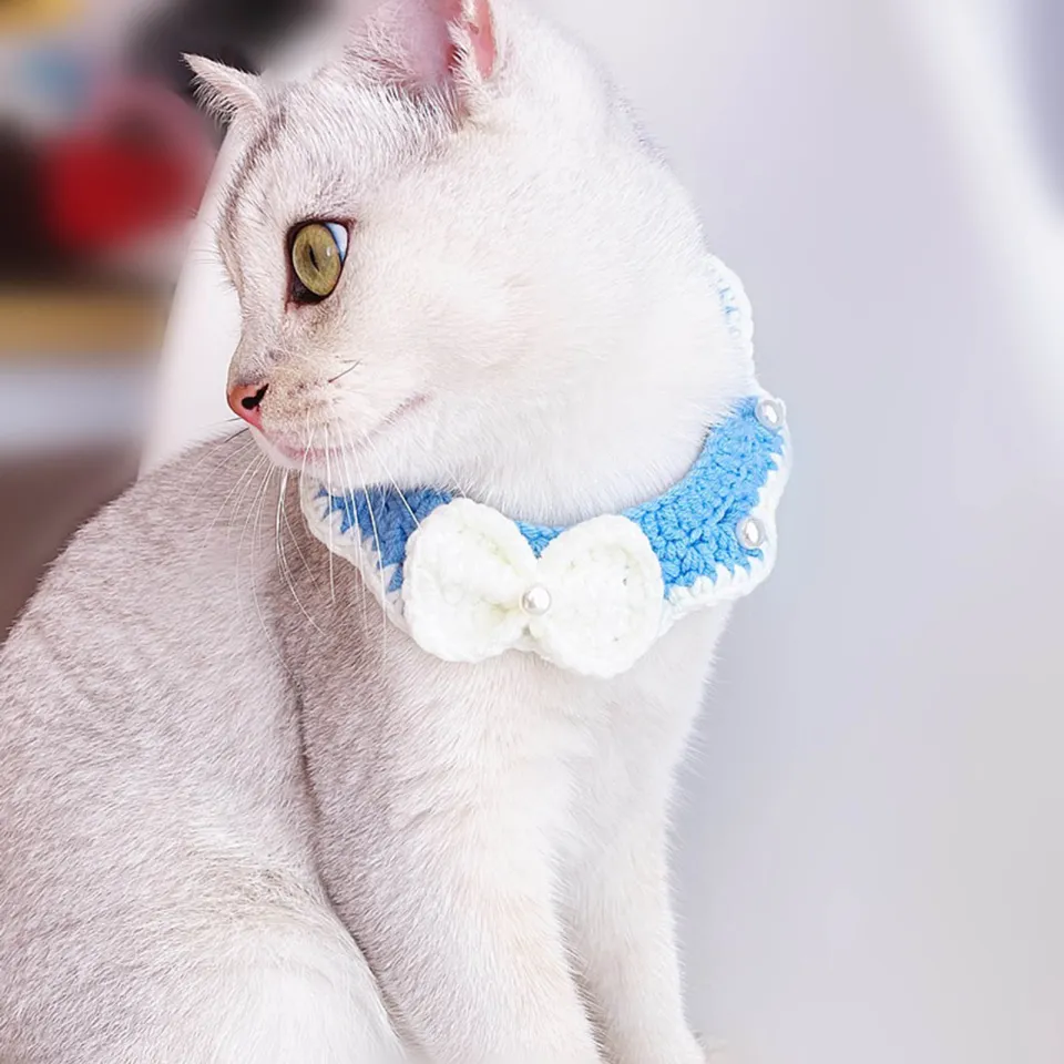 Lilyvera cat collar hotsell