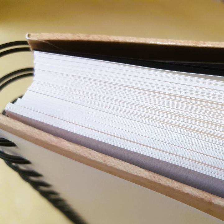 Aurea%20Books%20Journals%20-%20%20Premium%20Quality%20%20Bullet%20Journal%20,%20Graph%20Journal%20,%20Lined%20Journal%20and%20Plain%20Blank%20Journal%20-%20Image%207