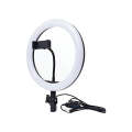 Ring Light For Tiktok and Other Platforms 10inch Ring Light | 26cm Ring Light. 