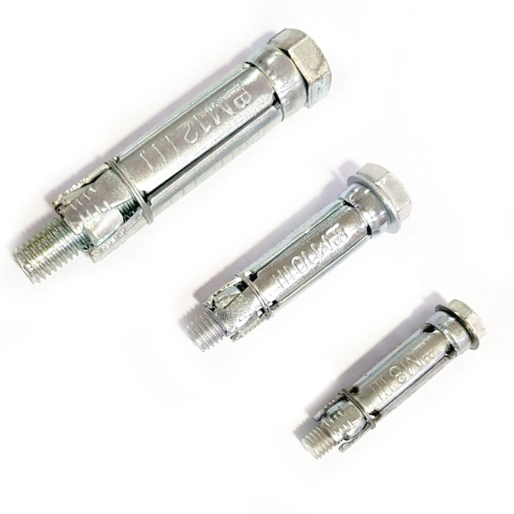 Electro Galvanized Rawl Bolt  M 8 x 60 mm (2 Pcs)