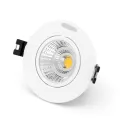 2 inch COB light. 