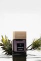 Catch 22 | Our #1 Best Seller Perfume | Long Lasting | Scents N Stories. 