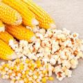 Popcorn 100g Popcorn 100g Popcorn 100g. 