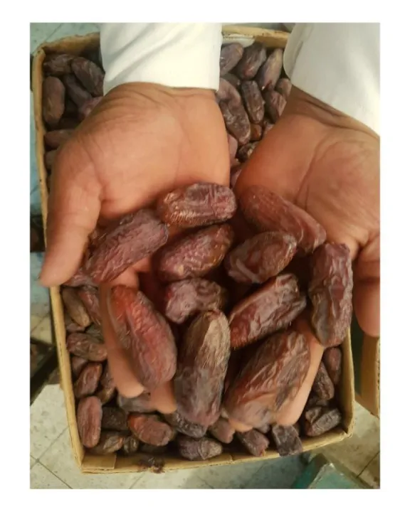 Amber%20Dates-500gm%20-%20Image%204