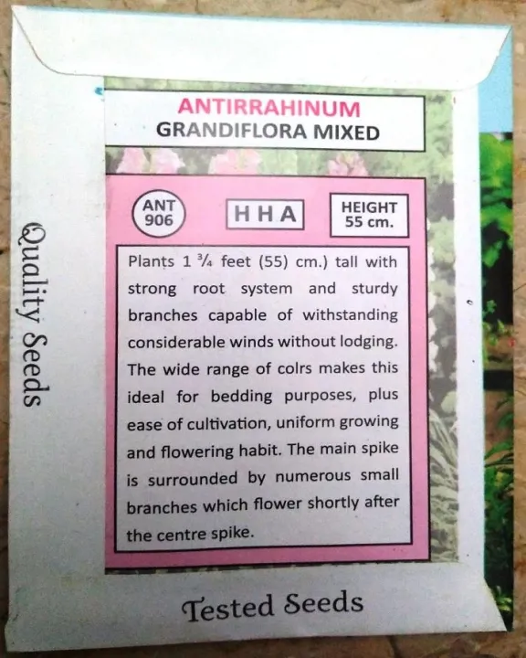 Antirrhinum%20Semi%20Dwarf%20Choice%20Mixed%20-%20Image%203