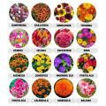 Pack of 5 Random Summer Flowers Seeds.. 