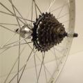 Free Wheel 6 Speed Mountain Bicycle. 