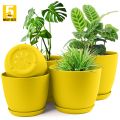 Fast Forward Plant Pots Indoor with Drainage - Pack of 5 Decorative Flower Pots for Indoor Plants - White Plastic Planters for Indoor Plants, Flowers, Cactus, Succulents Pot. 