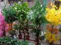 Artificial Flowers & leafs Plant big size 7 foot. 