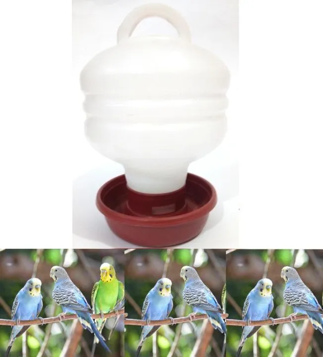 High%20Quality%201%20Liter%20Water%20bottle%20for%20Birds,%20Budgies,%20Cockatiel,%20Lovebird%20Parrots%20-%20Image%202