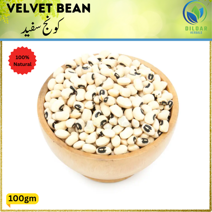 VELVET BEAN / KONJ SAFEED / KOUNCH SAFEED / TUKHME KONCH / KONCH SEEDS / کونج سفید / DILDAR HERBALS ( عمدہ اور تازہ ہماری پہچان) 100% NATURAL 100GRAM