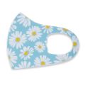3d Fashion Face Mask Cute Washable Reusable Cotton Ice Silk Face Mask For Adults. 