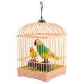 Beautiful Sound Control Birds in Cage Toy for Kids. 