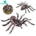 Spider Toy for Children Halloween Spider Model Ornament Simulation Plastic Figurine Kids Toy Desktop Garden Tricky Gift Spider Decoration for Home. 
