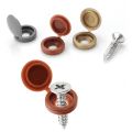 100 PCS/Bag Screw Head Plastic Cap Practical Self-Tapping Screw Decorative Cover Nut Bolt Protective Cover Furniture Hardware. 
