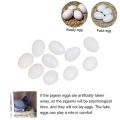 (9 or 18 Pcs) Artificial Plastic Eggs - Dummy eggs of Bird - Bird's Egg Size Plastic Hollow Shell. 