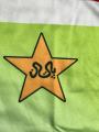 Vintage Pakistan cricket jersey 1992 with Imran Khan Photo for men's for outdoor and indoor. 