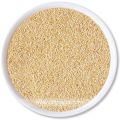 badgePoppy Seeds (Khaskhas) - 500 grams badgePoppy Seeds (Khaskhas) - 500 grams badgePoppy Seeds (Khaskhas) - 500 grams. 