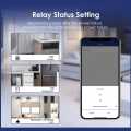 Tuya WiFi MiNi Smart Switch With Power Monitor 16A 2-way Control Timer Breaker Relay Work With Alexa Google Home. 