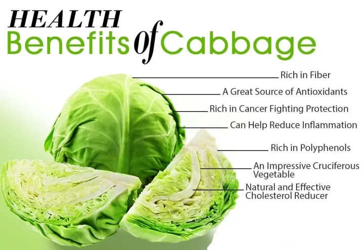 Green%20Cabbage%20(Band%20Gobhi/Gobi)%20Winter%20Vegetable%20Seeds%20Home%20Kitchen%20Gardening%20-%20Image%207